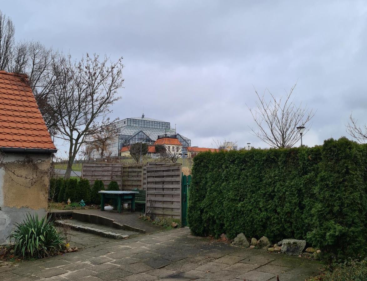 W12 Home Station - Apartement Greenpink Ζιελόνα Γκόρα Εξωτερικό φωτογραφία